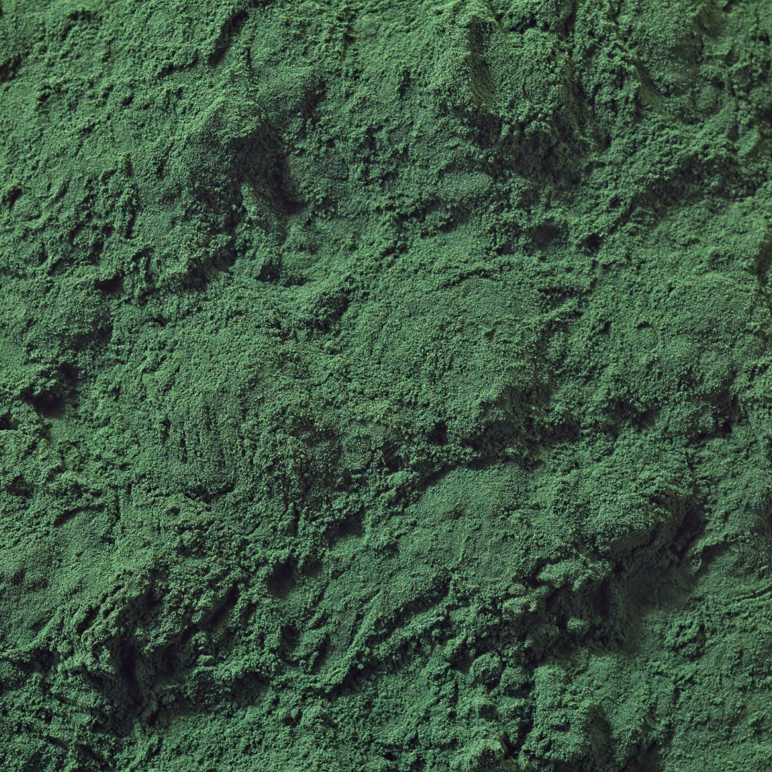 6_64065416-7fdc-48e0-872f-050daeace159.png