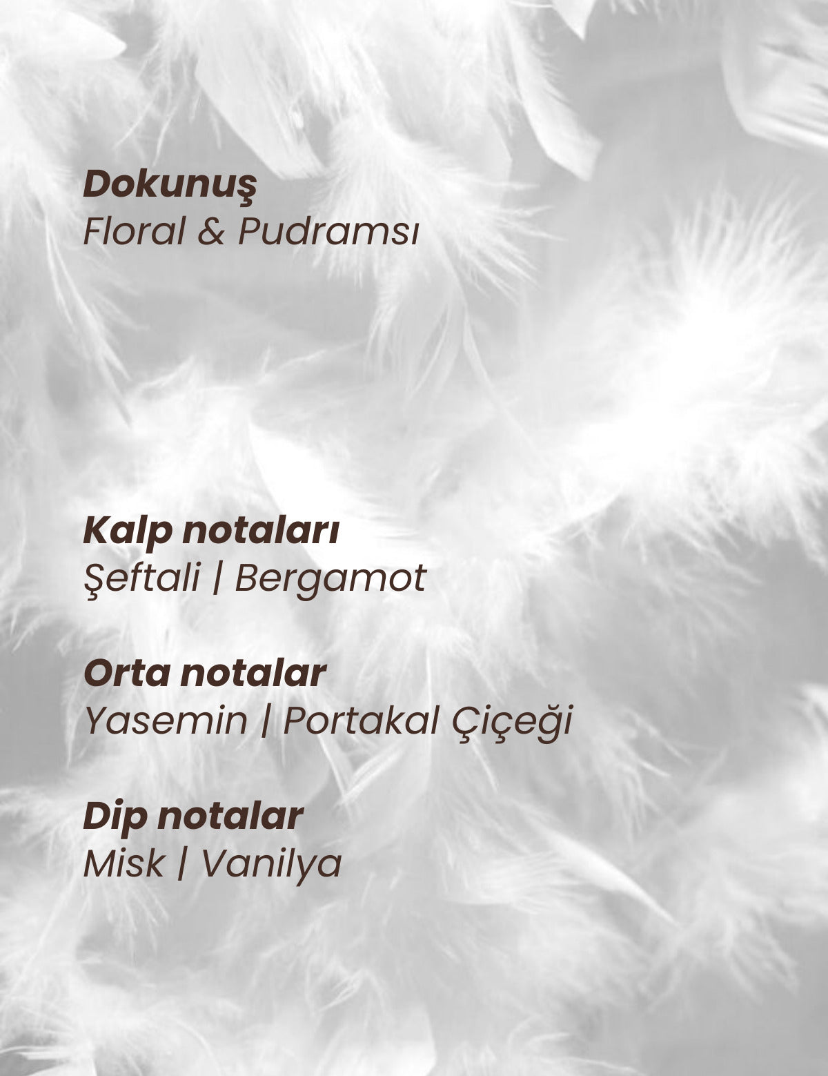 1_org_zoom_2aa6f6d7-f26b-4de7-b30b-f130d2435187.jpg