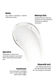 Scalpify Rosmarin | Biotin Anti-Haarausfall Shampoo 350 ml