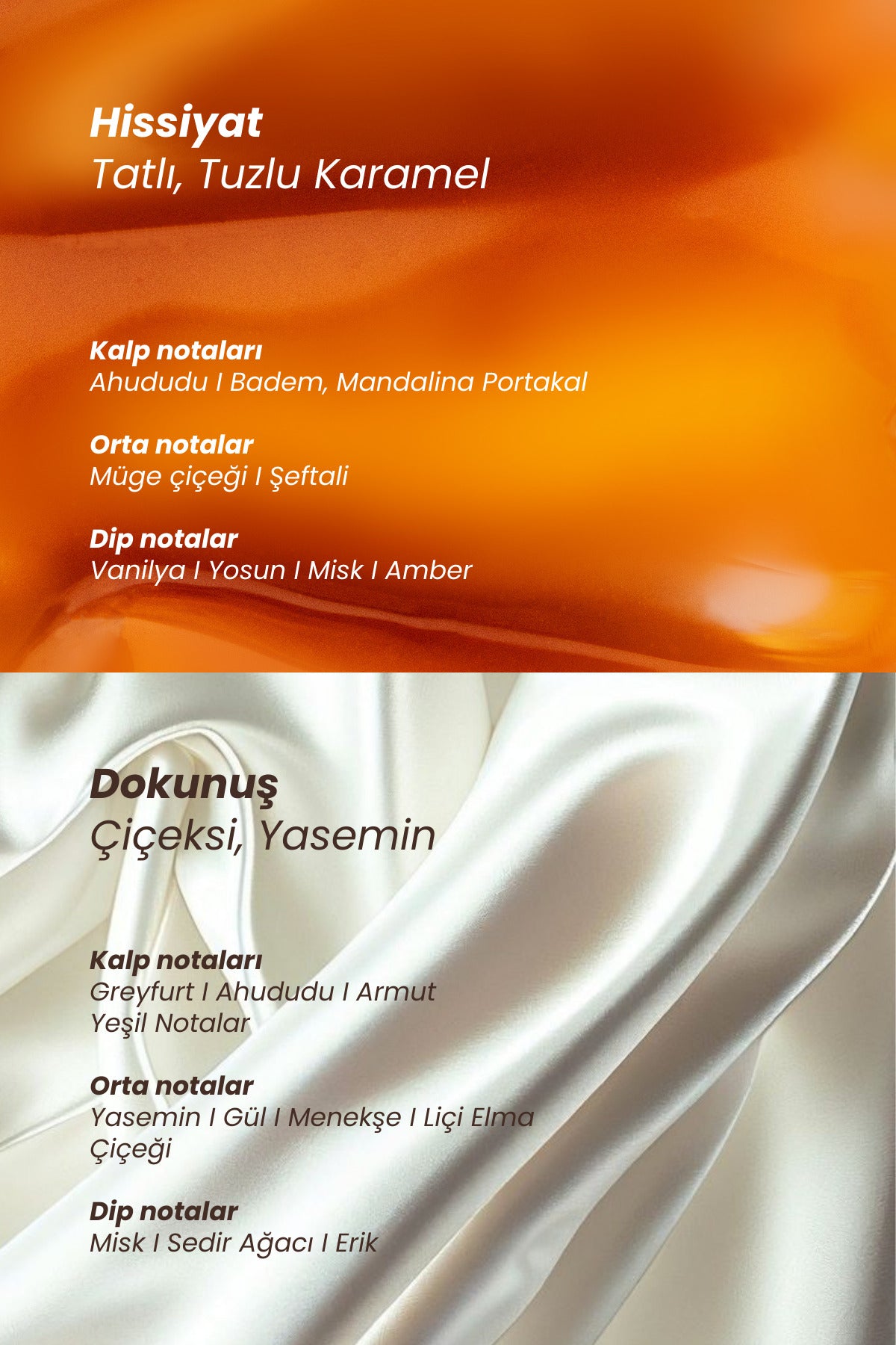 Salted Spirit & Harmony |Parfüm & Mist Seti (2x50 ml)