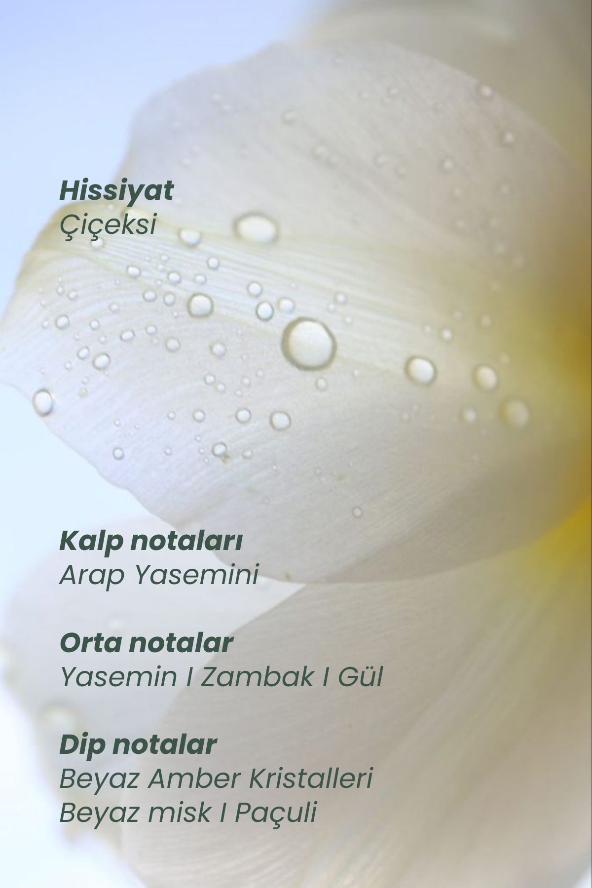 Myth | Saç Parfümü 10 ml Seyahat Boy