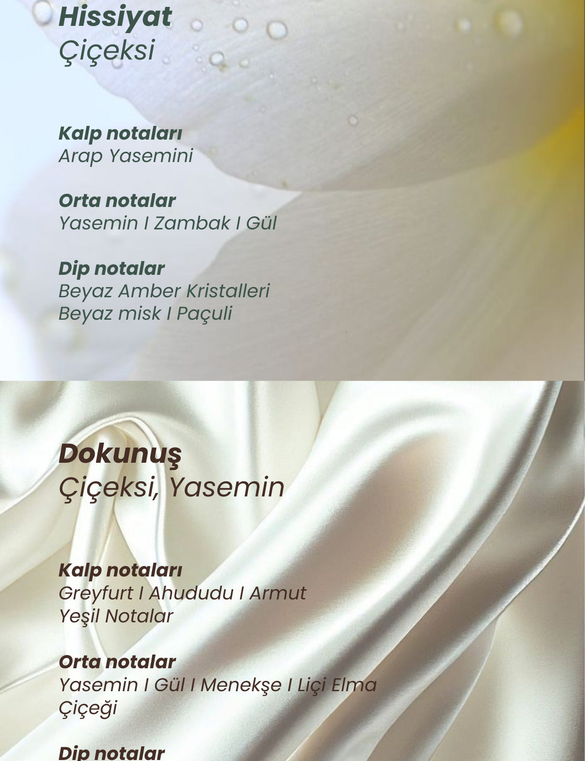 1_org_zoom_a43e81e2-db33-42ea-8c31-d3d8d69c62e0.jpg