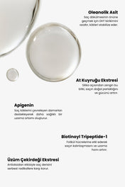 Scalpify Saç Derisi Serumu | Dökülme Önleyici & Folikül Güçlendirici Biberiye + Biotin + Peptit