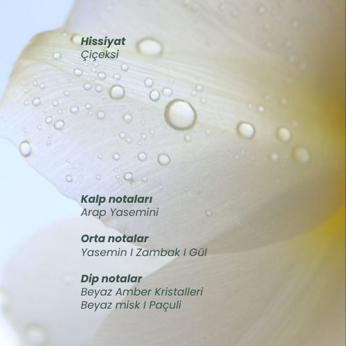 Myth Saç Parfümü | Çiçeksi Notalar