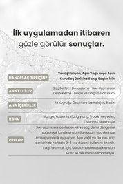 Matsu Extension Fast Growth and Scalp Detox 2-Piece Advantage Hair Care Set