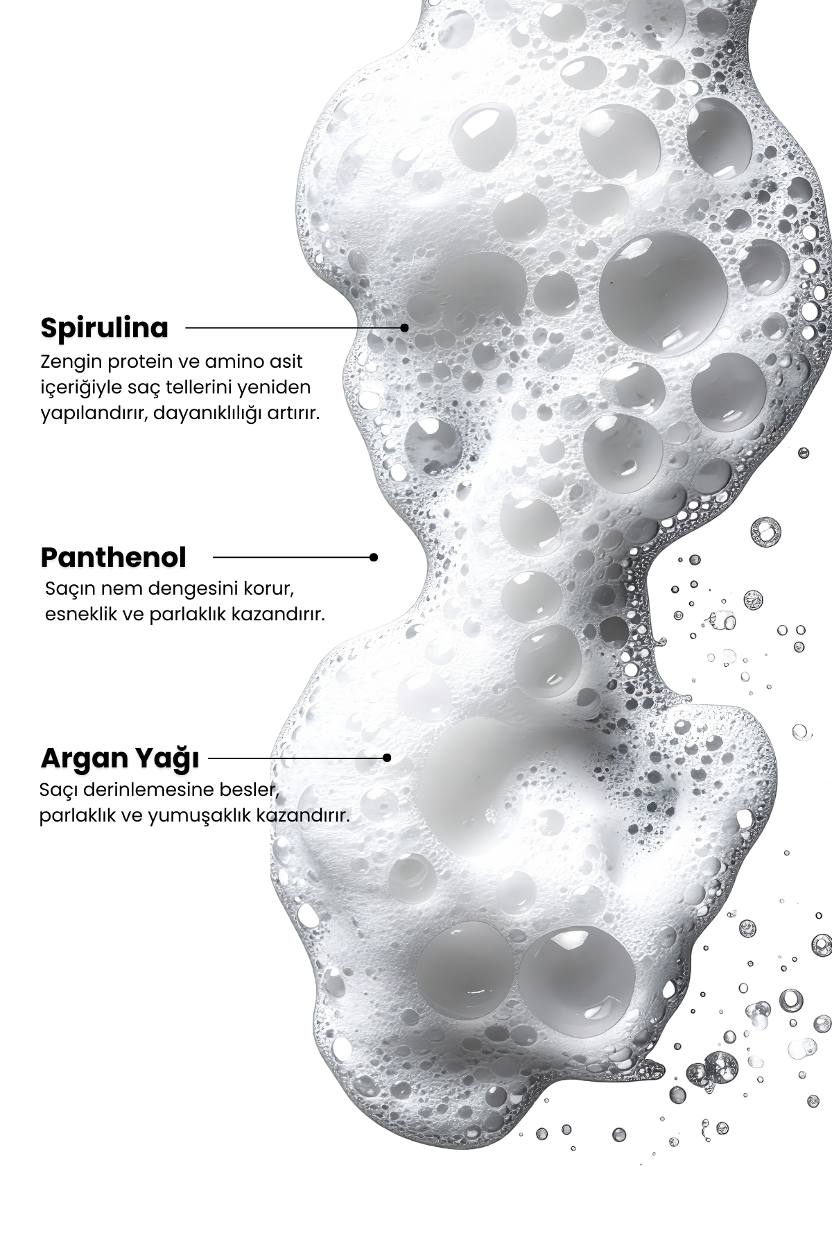 Intensive Repair Spirulina & Argan Özlü Yoğun Onarıcı Şampuan | Boyalı ve Hasar Görmüş Saçlar 350 ml