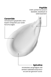 Marine Algae Niacinamide Serum & Peptit Krem Seti - Gözenek Sıkılaştırıcı & Yaşlanma Karşıtı Onarıcı Bakım