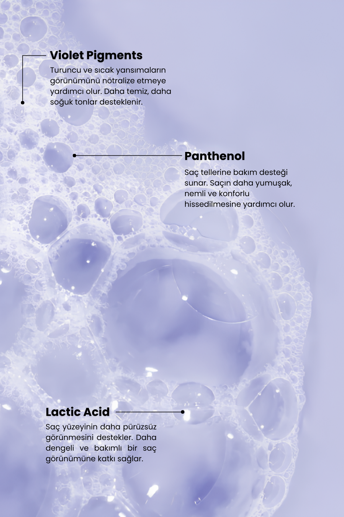 Purple Shampoo | Anti-Yellow Silver Shampoo 70 ml