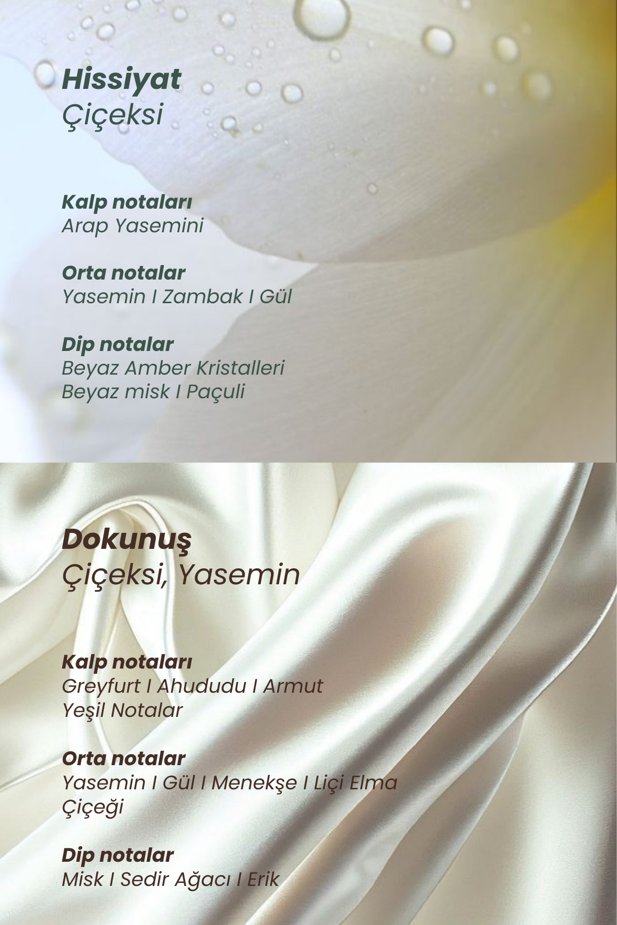 Myth & Harmony Saç Parfümü Seti - Lüks, Taze ve Sofistike Esanslar (2x50 ml)