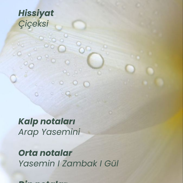 myth-sac-parfumu-intensive-repair-maske-seti-onarim-imza-koku-2542.png