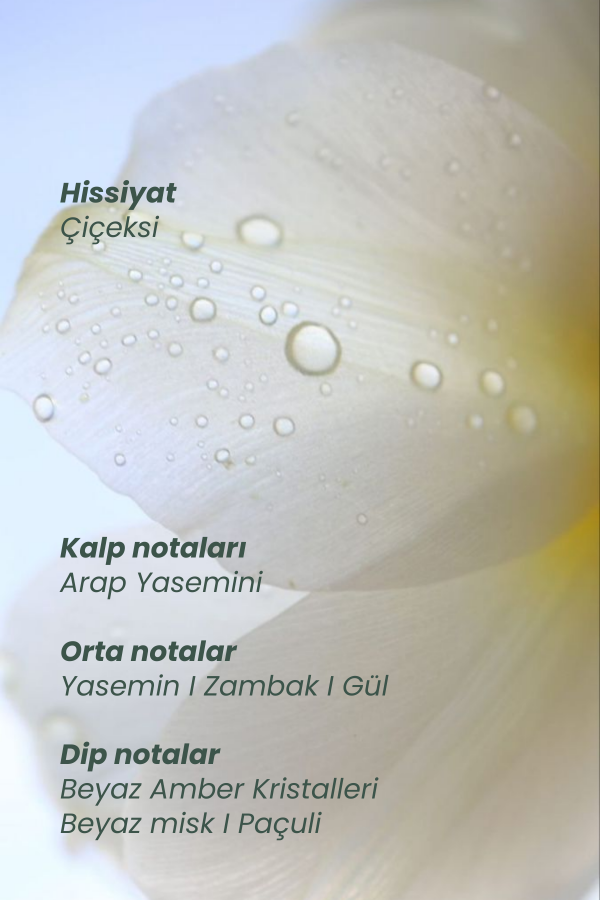 Myth Hair Perfume | Floral Notes I 50 ml