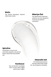 Rosemary Scalpify Biberiye & Biotin Dökülme Karşıtı Şampuan | Saç Uzatma Destekli ve Arındırıcı 350 ml