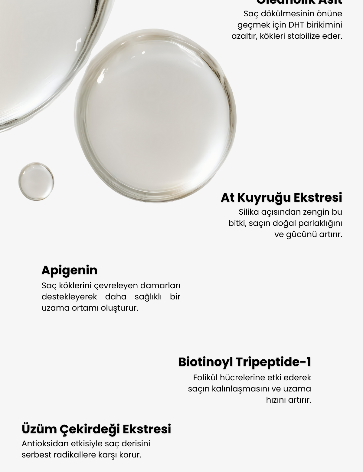 rosemary-scalpify-peptit-biberiye-yogun-sac-derisi-serumu-folikul-guclendirici-ve-dokulme-onleyici-5-1680.png